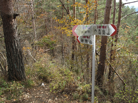 20181126hike (51)